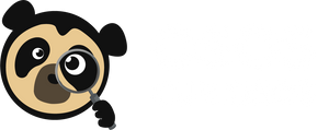 Osos Curiosos 2025